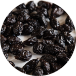 Prune Circle Prune Circle